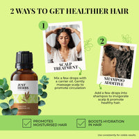 Just Herbs Eucalyptus Undiluted Steam Distilled 100% Natural Essential Oil for Hair Growth | Steam Inhalation | Aromatherapy and Skincare 10ml