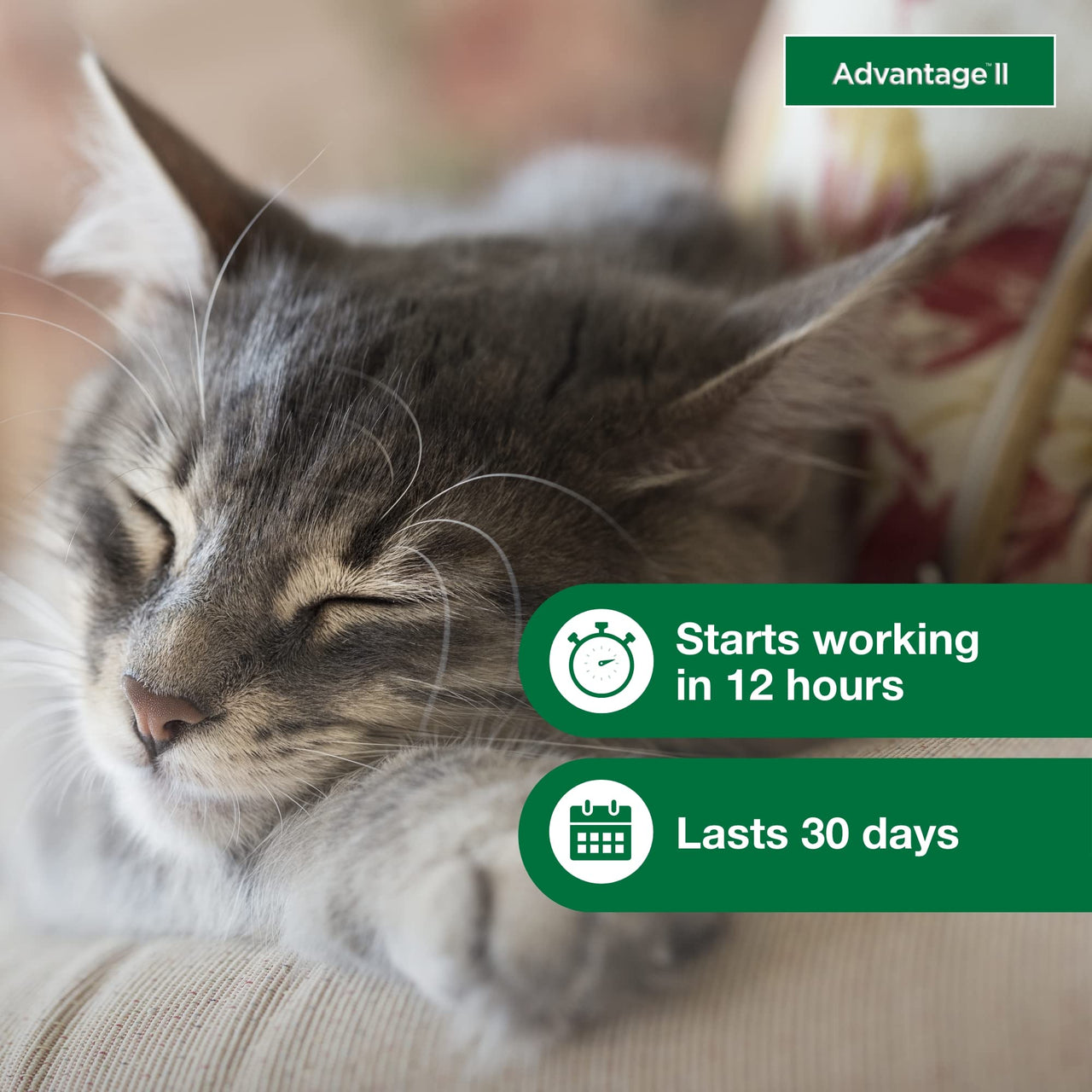 Advantage II Small Cat Vet-Recommended Flea Treatment & Prevention | Cats 5-9 lbs. | 2-Month Supply 2 Pack Small Cat only