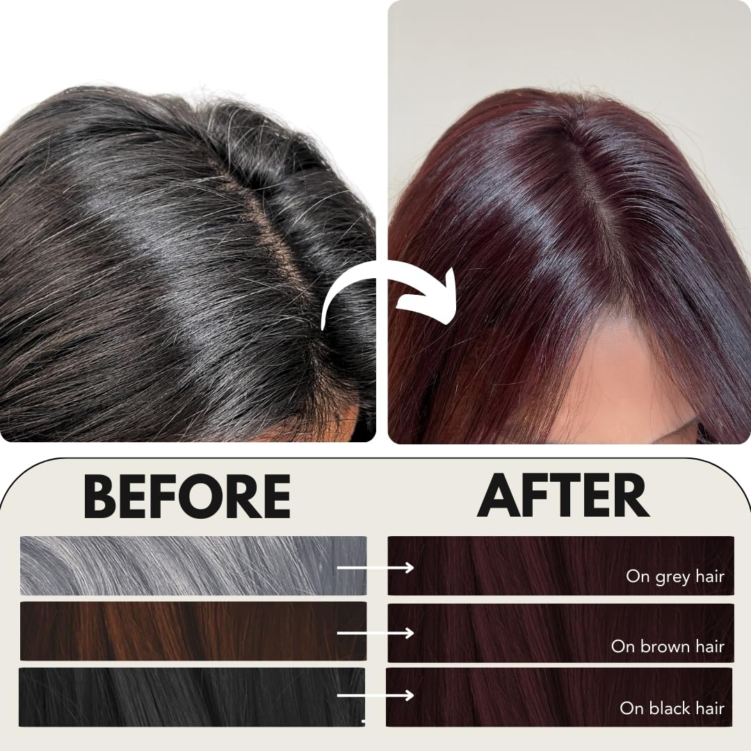 Paradyes Mini Black Cherry Timeless Hair Tint, Permanent Crème Hair Color for Hair, Complete Grey Coverage, Formula Free from PPD, Ammonia, & Resorcinol, 3.6 Black Cherry, 60 GRAM