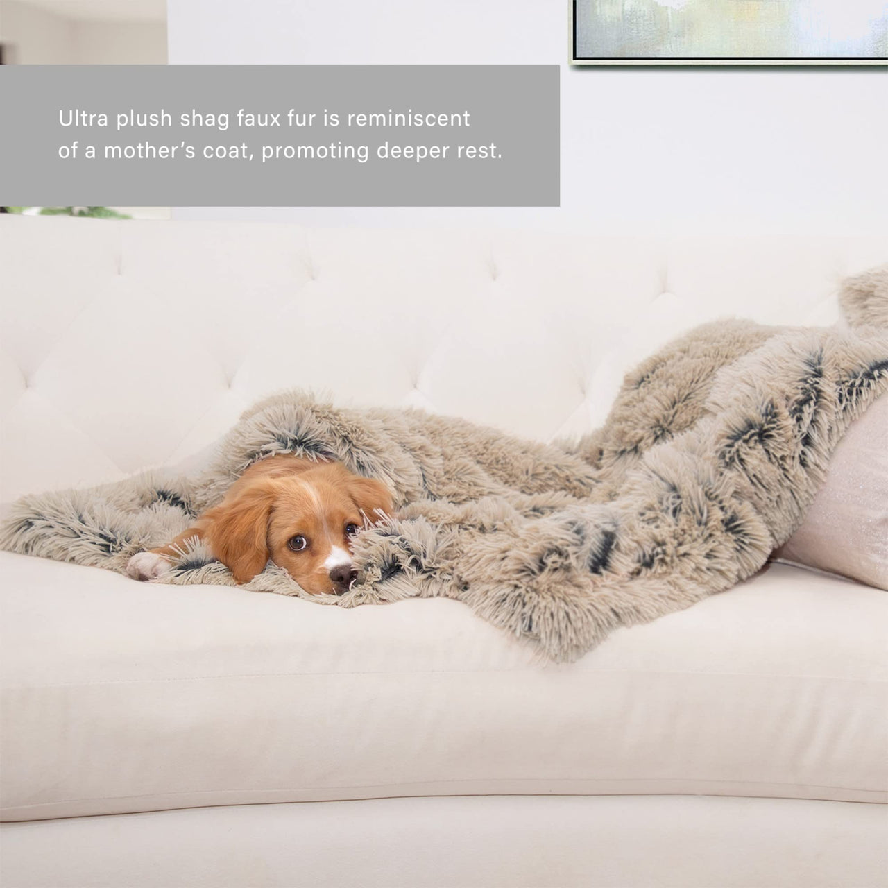 Best Friends by Sheri Calming Shag Fur Pet Throw Blanket, Taupe, 30"x40" 30" x 40"
