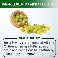 INDUS VALLEY Bio Organic Natural Amla Powder With Herbal Henna Powder Set of 2 For Hair Care - (100g *3=300g)