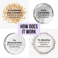 Dr. Sheth's Oats & Ceramide Sensitive Skin Gentle Cleanser | For Delicate Irritated Skin | pH Balanced, Daily Use Non-Drying Cleanser To Hydrate, Soothe & Restores Skin Barrier | Cleans Dirt, Oil & Make-Up | Free of Sulphates, Paraben, Dye & Fragrance | F