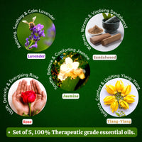 Exotic Aromas Essential Oil - Lavender Oil, Sandalwood Oil, Jasmine Oil, Rose Oil, Ylang Ylang Oil (Pack of 5)