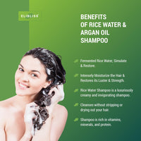 Elibliss Smooth & Shine Shampoo with Fermented Rice Water & Amino | Strengthens, Smoothens & Adds Shine | Hair Care for Dry, Frizzy, or Dull Hair | Sulfate-Free 475ml Pack of 2