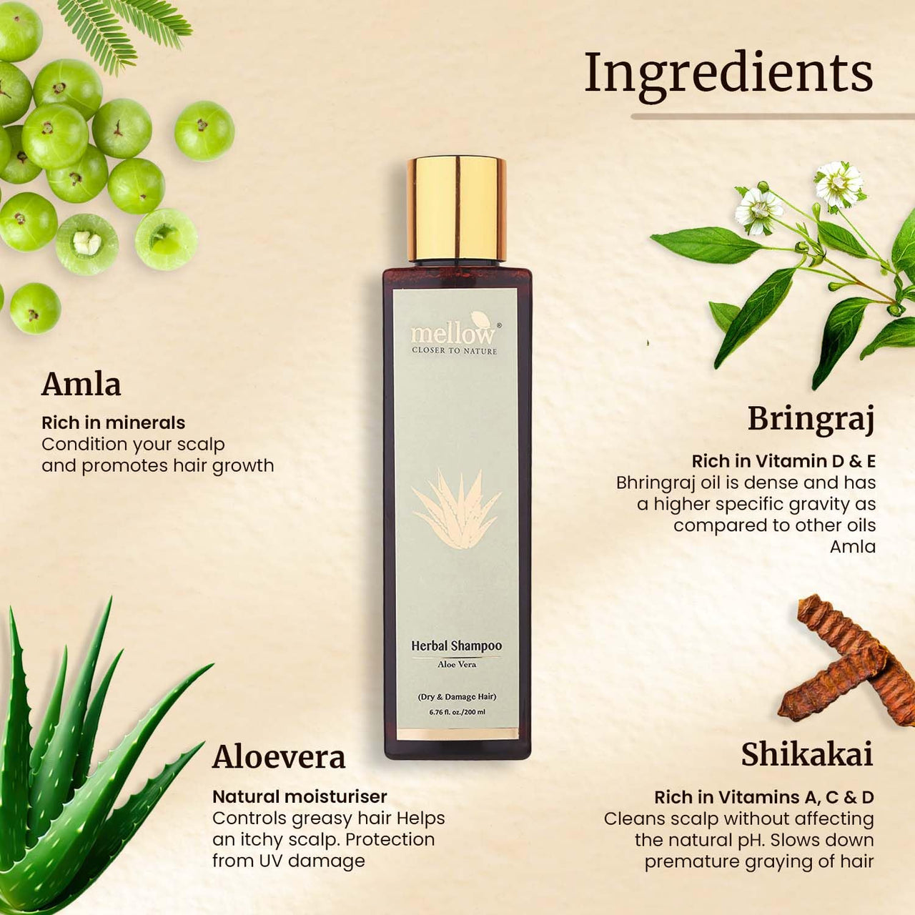 Mellow Herbals Aloe Vera Shampoo | Hydration & Damage Repair | Amla, Reetha, Shikakai & Bhringraj | Sulfate & Paraben-Free | Ayurvedic Hair Care | 100ml