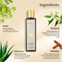 Mellow Herbals Aloe Vera Shampoo | Hydration & Damage Repair | Amla, Reetha, Shikakai & Bhringraj | Sulfate & Paraben-Free | Ayurvedic Hair Care | 100ml