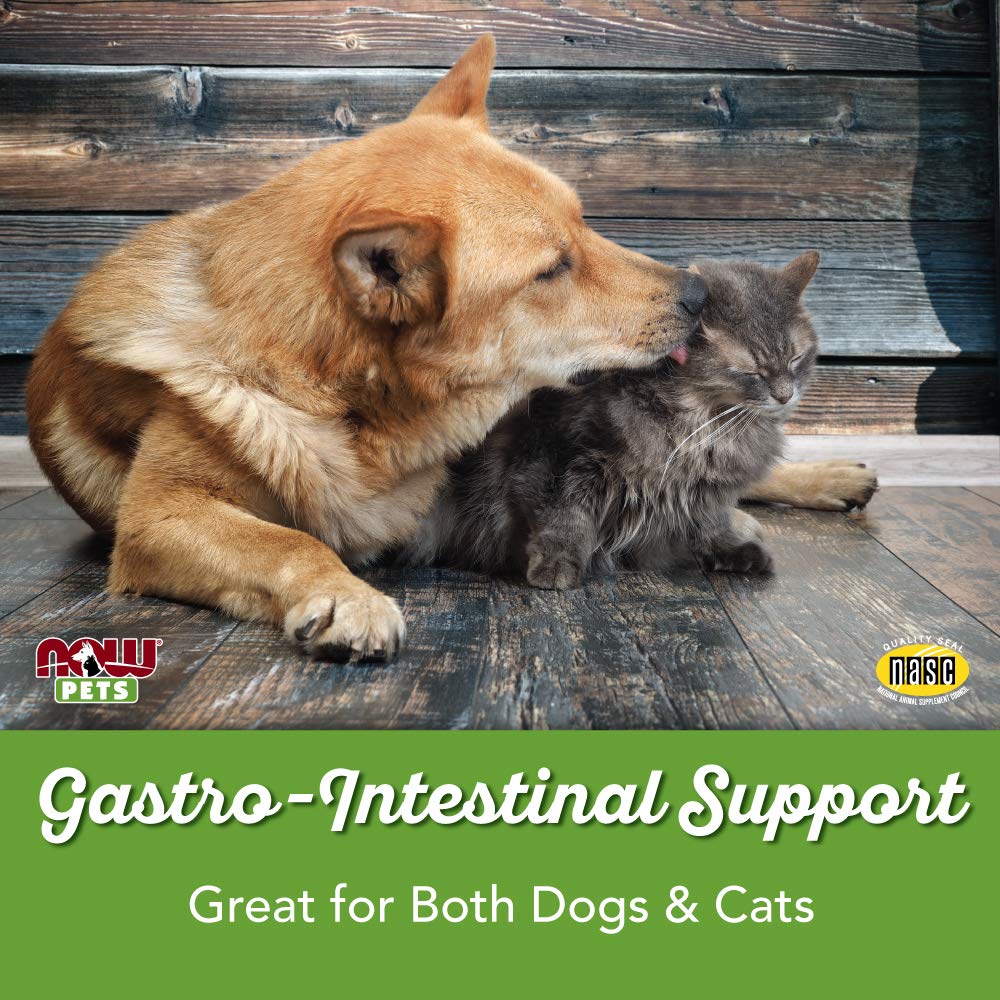 NOW Pet Health, G.I. Support Supplement, Formulated for Cats & Dogs, NASC Certified, 90 Chewable Tablets Light Brown