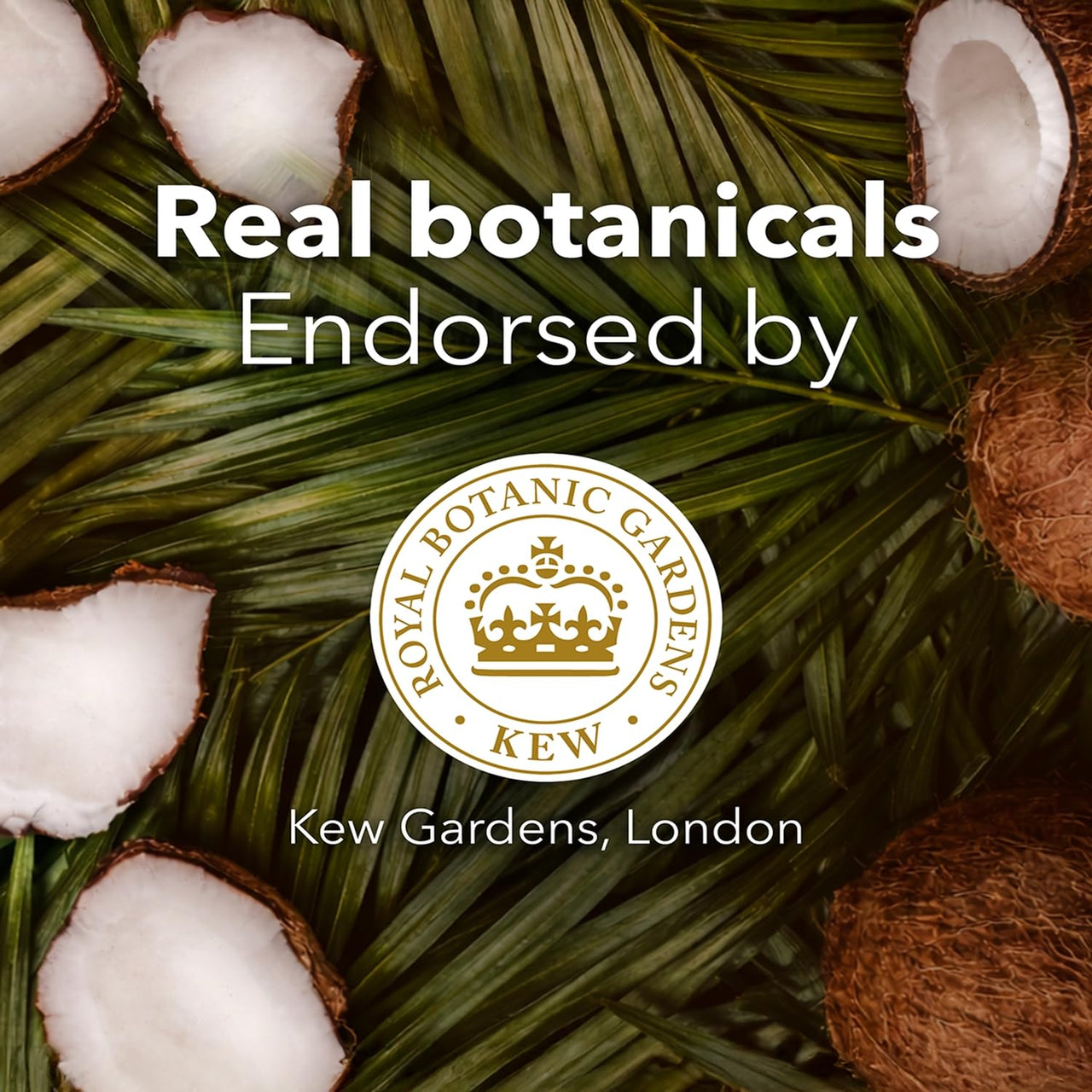 Herbal Essences bio:renew Coconut Milk SHAMPOO, 400ml, No Parabens No Colourants