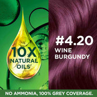Garnier, Hair Colouring Creme, Long-lasting Colour, Smoothness & Shine, Color Naturals, Shade: 4.20 Wine Burgundy, 70ml + 60g