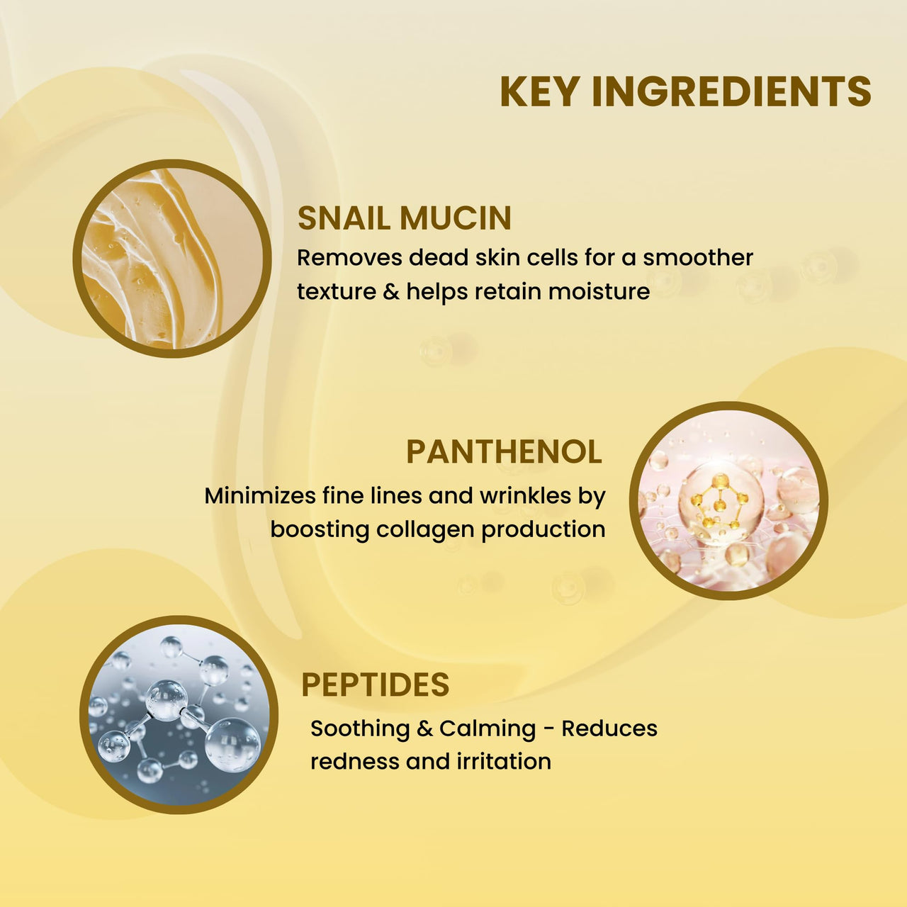 Mirabelle Korea Snail Repair All-In One Moisturizing Cream With Peptides | For Skin Repair, Anti-Aging & Fades Dark Spots | Lightweight, Non-Greasy | Korean Skin Care Products | For All Skin Types 50g