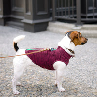 Gooby Zip Up Fleece Dog Sweater - Fuchsia Wash, X-Large - Warm Pullover Fleece Step-in Dog Jacket with Dual D Ring Leash - Winter Small Dog Sweater - Dog Clothes for Small Dogs Boy and Medium Dogs X-Large chest (~22.5