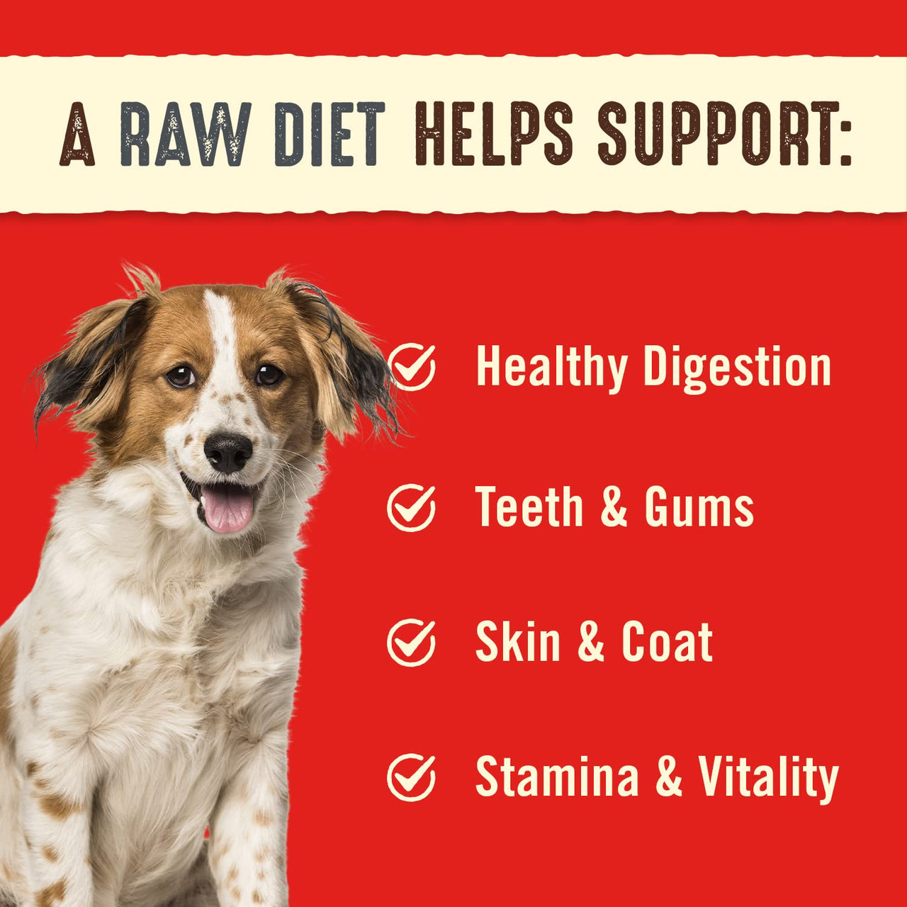 Stella & Chewy's  Freeze Dried Raw Dinner Patties  Grain Free Dog Food, Protein Rich Purely Pork Recipe  14 oz Bag (Packaging may vary)
