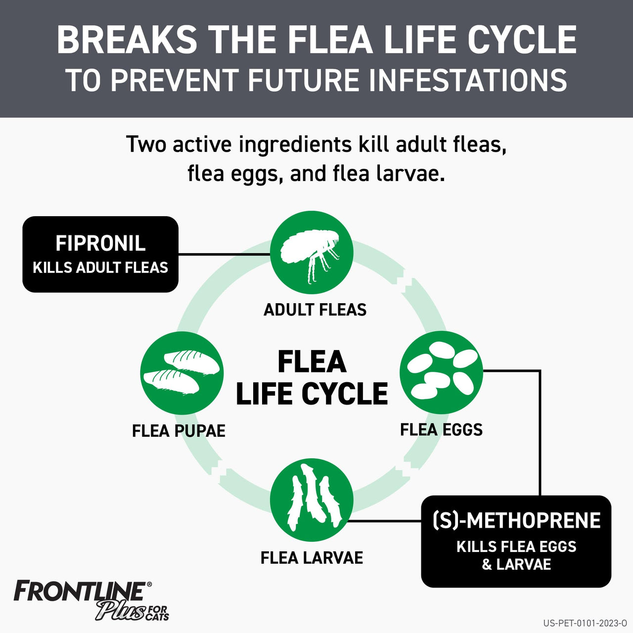 FRONTLINE Plus Flea and Tick Treatment for Cats Over 1.5 lbs., 8 Treatments 8 Count