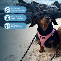 Voyager Step-In Air Dog Harness - All Weather Mesh Step In Vest Harness For Small And Medium Dogs By Best Pet Supplies - Pink Base, S Harness (Pink/Black Trim) S (Chest: 14.5 - 16