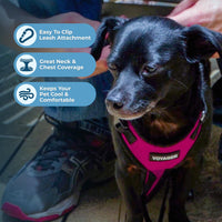 Voyager Step-in Lock Pet Harness - All Weather Mesh, Adjustable Step in Harness for Cats and Dogs by Best Pet Supplies - Fuchsia/Black Trim, XL