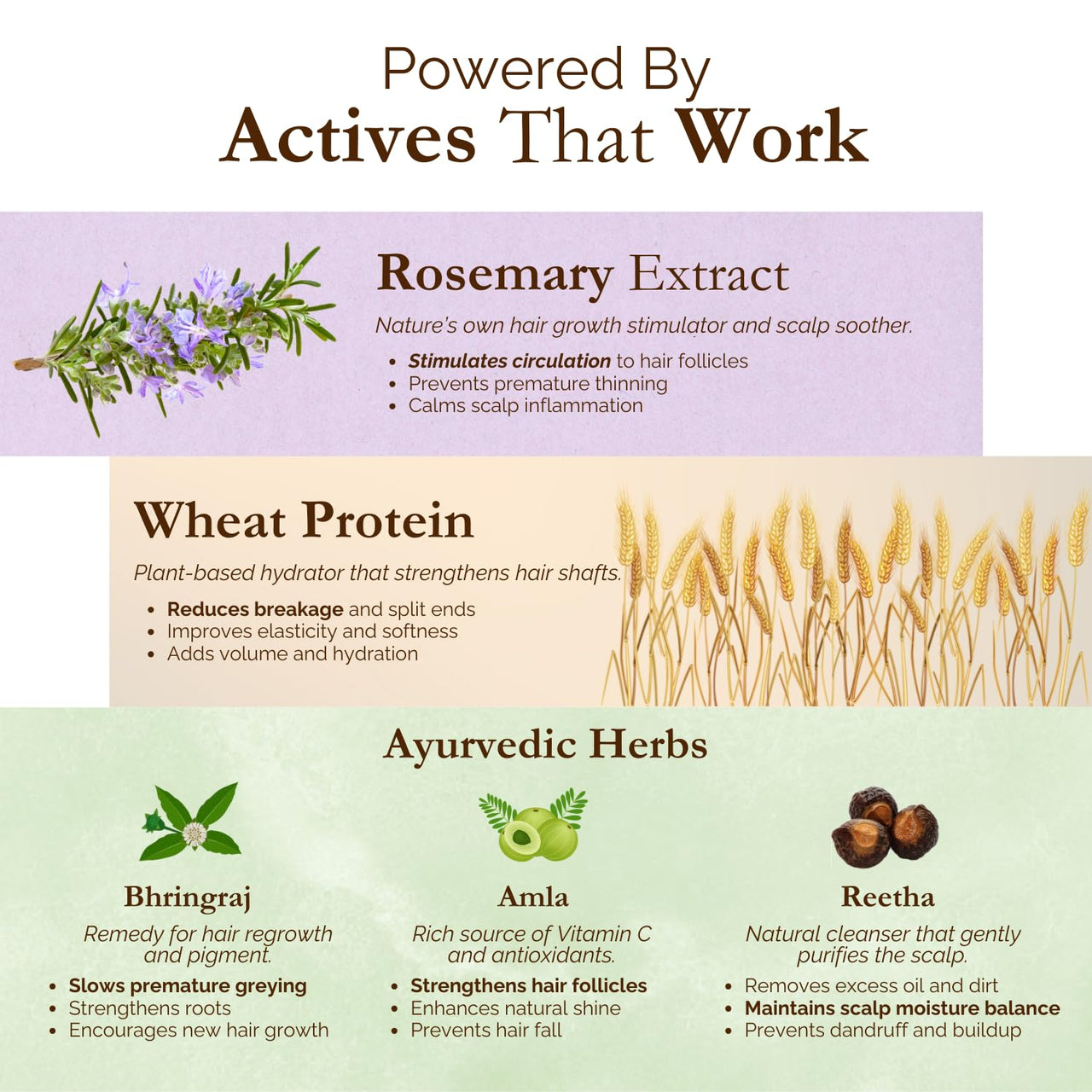 Exotic Aromas Rosemary Water Spray with Wheat Protein & Herbal Extracts, For thicker,shinier & stronger hair, 100 ML