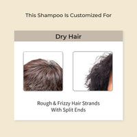 Vedix Ayurvedic Shampoo for Dry and Frizzy Hair, Vikleda Deep Conditioning Customized Sulfate Free Men Shampoo with Wheat Germ, Jojoba & Yashtimadhu, 100 ml
