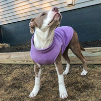 Gooby Stretch Fleece Vest Dog Sweater - Lavender, Small - Warm Pullover Fleece Dog Jacket - Winter Dog Clothes for Small Dogs Boy or Girl - Dog Sweaters for Small Dogs to Dog Sweaters for Large Dogs Small Length (9