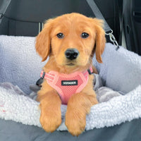 Best Pet Supplies Voyager Adjustable Dog Harness with Reflective Stripes for Walking, Jogging, Heavy-Duty Full Body No Pull Vest with Leash D-Ring, Breathable All-Weather - Harness (Pink), S
