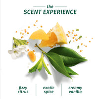 Herbal Essences bio:renew Argan Oil of Morocco CONDITIONER, 400ml | No Parabens No Colourants & Herbal Essences bio:renew Argan Oil of Morocco SHAMPOO, 400ml