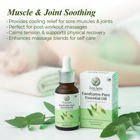 Zenaum Essences 100% Natural Eucalyptus Therapeutic Grade Essential Oil | 45ml (Pack of 3) | Respiratory Relief, Muscle Soothing & Aromatherapy | Sourced from Yunan, India | GMP, ISO & IFRA Certified