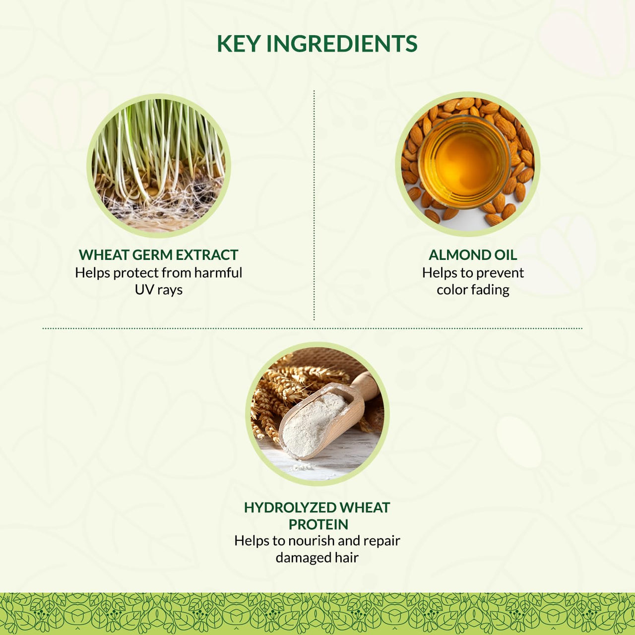 INDUS VALLEY 100% organic Deep Nourishing Hair (eaze) Spa