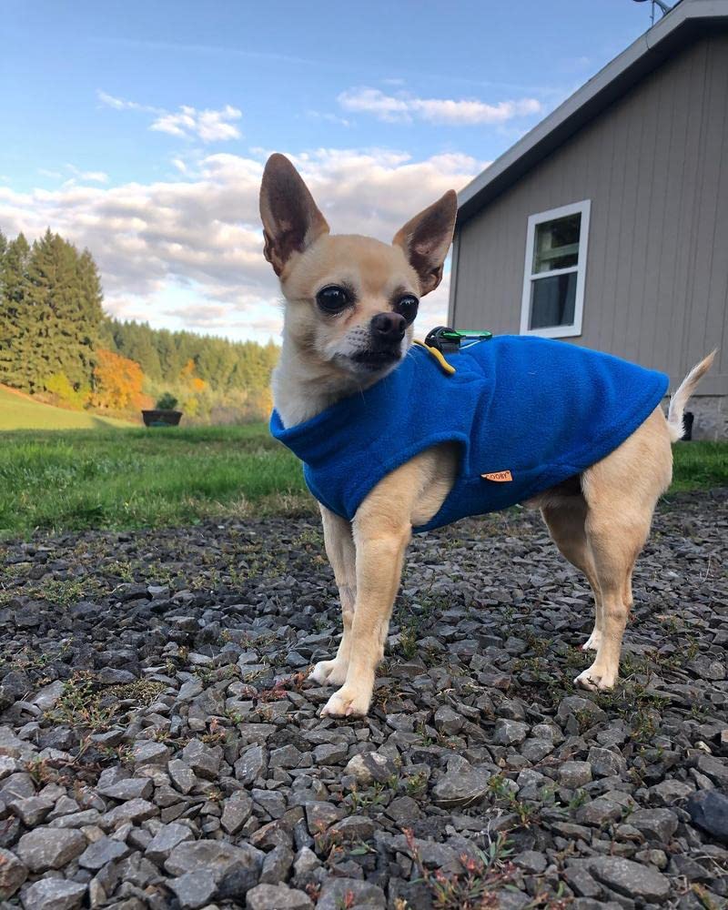 Gooby Zip Up Fleece Dog Sweater - Blue, Large - Warm Pullover Fleece Step-in Dog Jacket with Dual D Ring Leash - Winter Small Dog Sweater - Dog Clothes for Small Dogs Boy and Medium Dogs