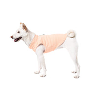 Gooby Fleece Vest Dog Sweater - Lime, X-Large - Warm Pullover Fleece Dog Jacket with O-Ring Leash - Winter Small Dog Sweater Coat - Cold Weather Dog Clothes for Small Dogs Boy or Girl X-Large (Around 23-lb)