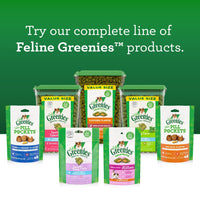 Greenies Feline Adult Natural Dental Care Cat Treats Oven Roasted Chicken Flavor, 21 oz. Tub 1.31 Pound (Pack of 1)