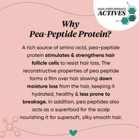 DOT & KEY Pea Peptide Strengthening Moringa & Argan Hair Mask | Hair Mask For Hair Fall Control | Hair Mask For Dry And Frizzy Hair | For Smoothening Hair | For Women & Men, 200 Millilitre