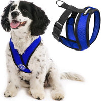 Gooby Comfort X Head in Harness - Blue, Large - No Pull Small Dog Harness, Patented Choke-Free X Frame - Perfect on The Go Dog Harness for Medium Dogs No Pull or Small Dogs for Indoor and Outdoor Use Large Chest (17-22.5