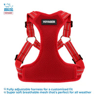Best Pet Supplies Voyager Adjustable Dog Harness Leash Set with Reflective Stripes for Walking Heavy-Duty Full Body No Pull Vest with Leash D-Ring, Breathable All-Weather - Harness (Red), L