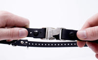 Educator Quick Snap Bungee Dog Collar, Biothane, Waterproof, Odorproof, Easy Connect and Disconnect Clasp and D Ring with Comfort Bungee Loop, Adjustable for Custom Fit, 3/4-Inch, Black 3/4