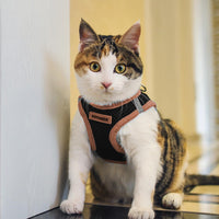 Voyager Step-in Air Dog Harness - All Weather Mesh Step in Vest Harness for Small and Medium Dogs by Best Pet Supplies - Orange Trim, XL Harness (Black/Orange Trim) XL (Chest: 20.5 - 23