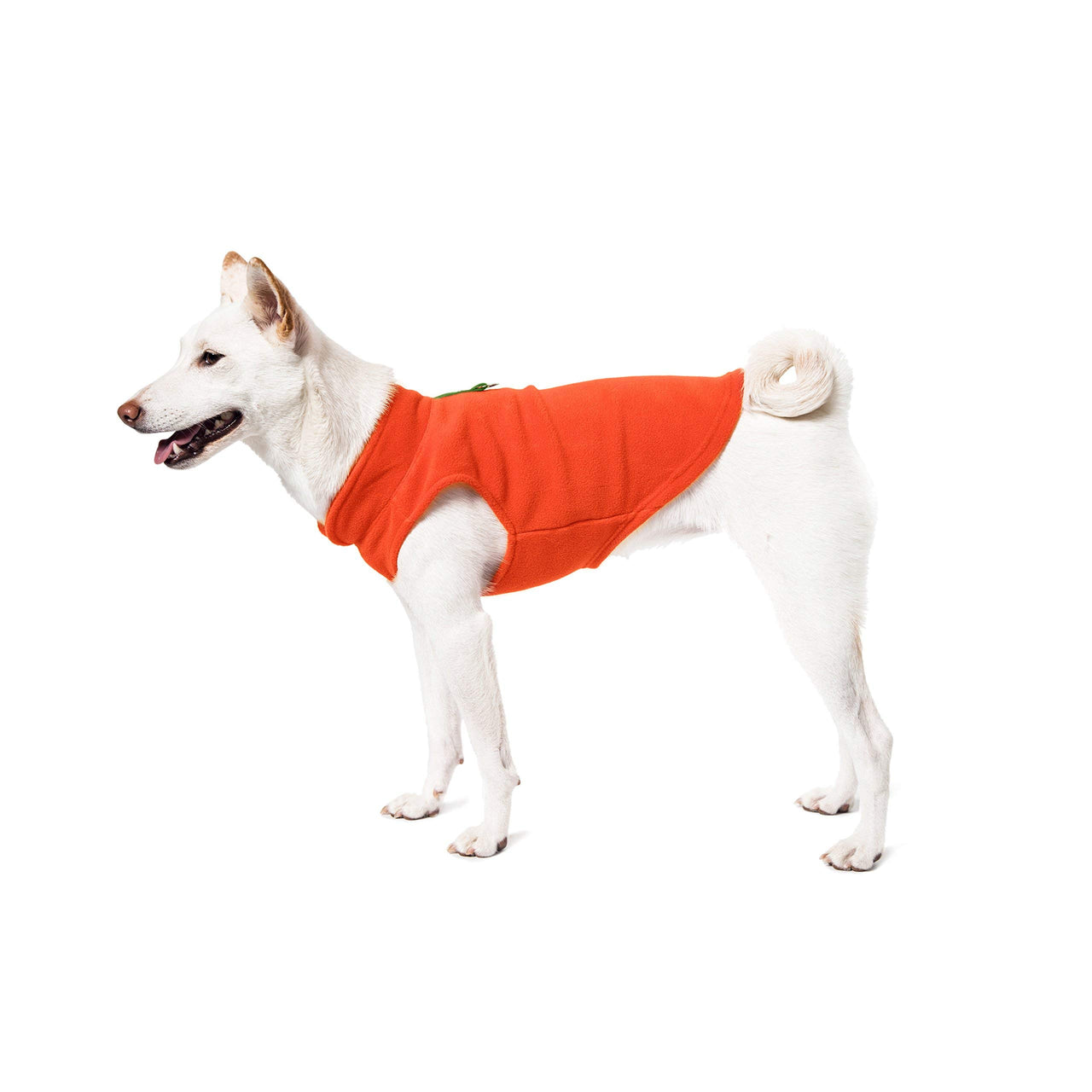 Gooby Fleece Vest Dog Sweater - Navy, X-Large - Warm Pullover Fleece Dog Jacket with O-Ring Leash - Winter Small Dog Sweater Coat - Cold Weather Dog Clothes for Small Dogs Boy or Girl X-Large (Around 23-lb)
