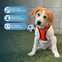 Voyager Step-in Air Cat Harness - All Weather Mesh Step in Vest Harness for Small and Medium Cats by Best Pet Supplies - Harness (Orange/Black Trim), XXXS (Chest: 9.5-10.5