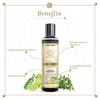 Khadi Natural (TM) Amla and Bhringraj Hair Cleanser(Shampoo), SLS and Paraben Free, 210ml