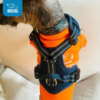 Air Frontier Mesh Dog Harness with Steel Leash D-Ring, Reflective Stitching, and Lightweight Breathable No-Pull Design, Adjustable Neck and Chest Straps for Small to Large Breeds - BUW, S