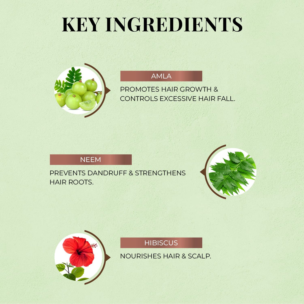 Just Herbs 8 In 1 Root Nourishing Amla Neem Hair Fall Control Shampoo For Men & Women - Suitable For Oily Hair Scalp, Sulphate & Paraben Free 200 Ml