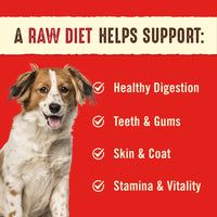 Stella & Chewy's  Freeze Dried Raw Dinner Patties – Grain Free Dog Food, Protein Rich Remarkable Red Meat Recipe – 14 oz Bag Red Meat Blend 14 Ounce (Pack of 1)