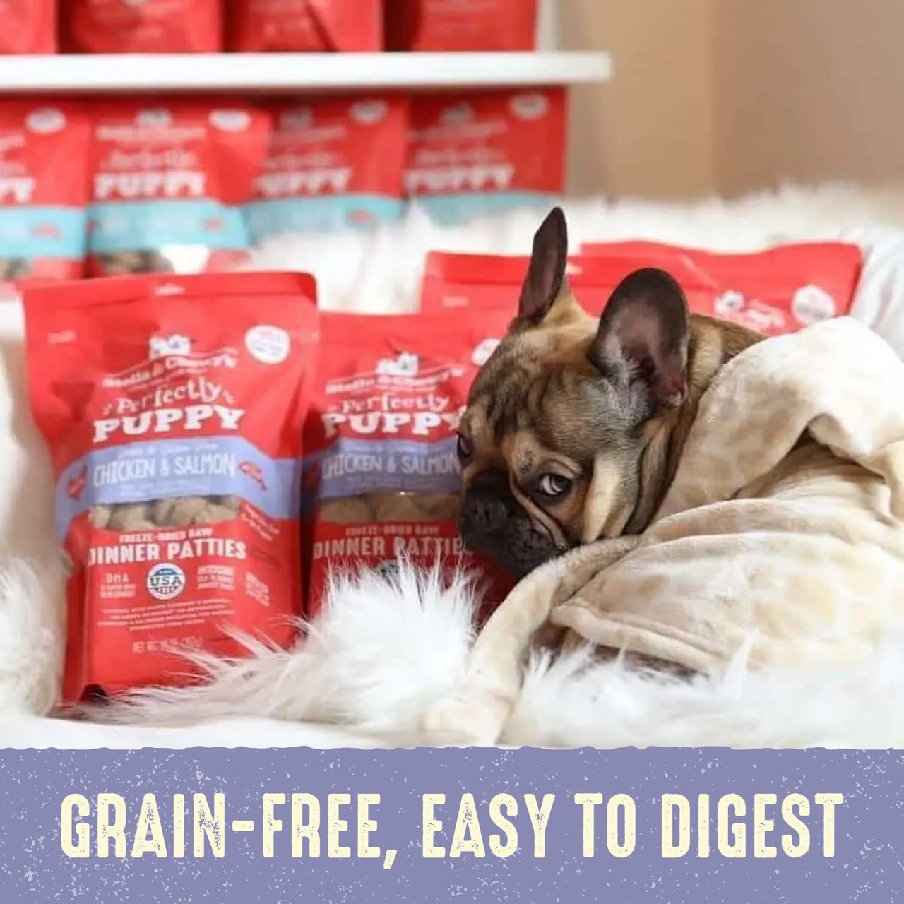 Stella & Chewy's  Freeze Dried Raw Dinner Patties – Crafted for Puppies – Grain Free, Protein Rich Perfectly Puppy Chicken & Salmon Recipe – 5.5 oz Bag 5.5 Ounce (Pack of 1)