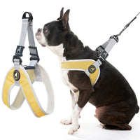 Gooby Simple Step in III Harness - Yellow, Small - Small Dog Harness with Scratch Resistant Outer Vest - Soft Inner Mesh Harness for Small, Medium Dogs Small chest (14.25∼17
