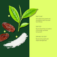 Gypsy Syrup - Matcha and Dates Farnesense | Hair Treatment Mask | 300g