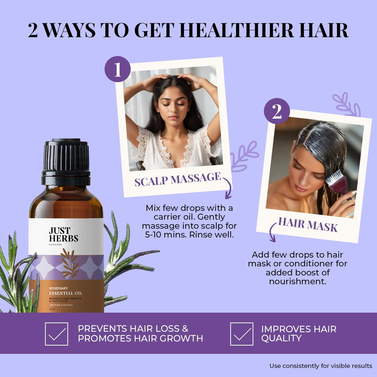 Just Herbs Rosemary Steam 100% Pure Distilled Essential Oil for Hair | Skin | Fights Acne | Elevates Mood Aromatherapy for Men and Women (10 ml)