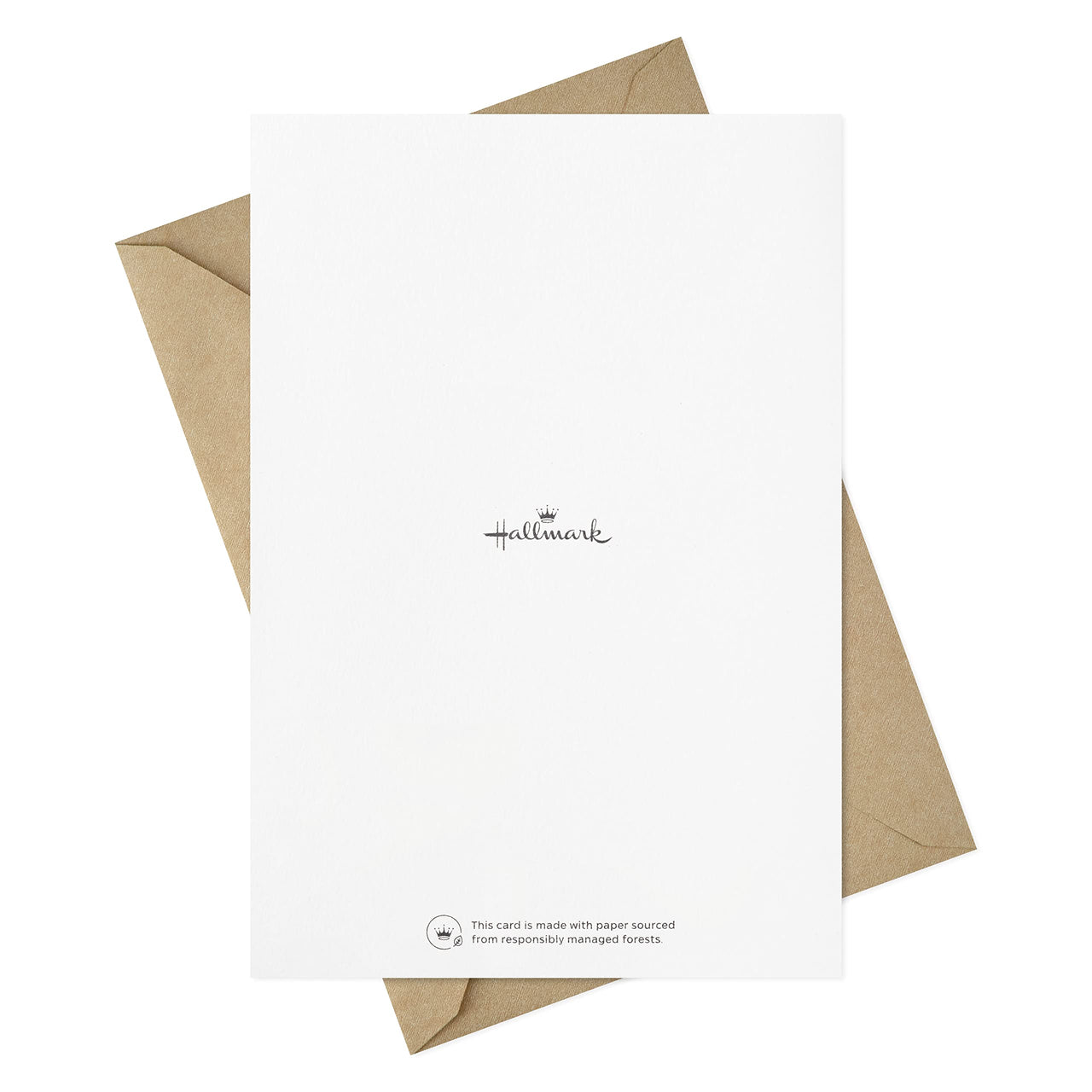 Hallmark Sympathy Cards Assortment, Painted Palms (16 Assorted Thinking of You Cards with Envelopes)