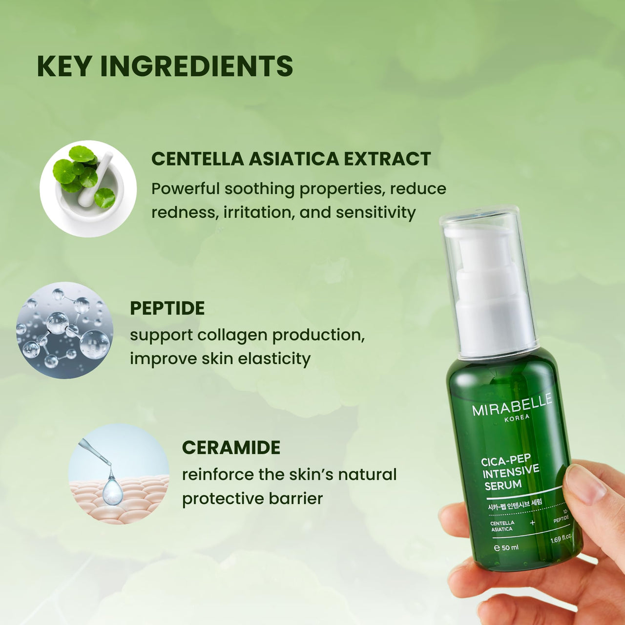 Mirabelle Korea Cica-Pep Intensive Serum 50ml | Korean Anti-Aging Face Serum with Peptides & Centella Asiatica | Hydrating, Firming & Wrinkle Care | Soothing & Repairing | Skincare for Men & Women