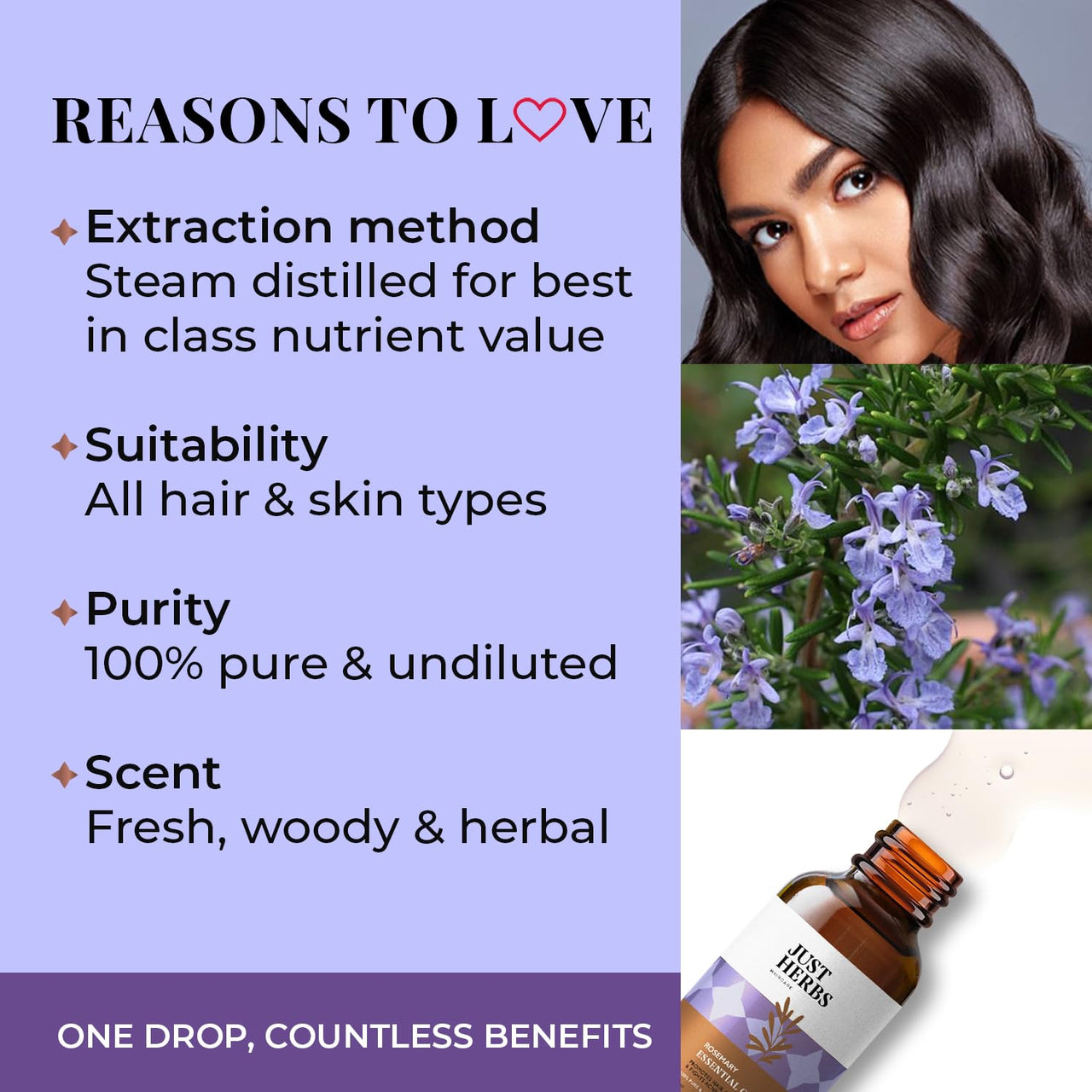 Just Herbs Rosemary Steam 100% Pure Distilled Essential Oil for Hair | Skin | Fights Acne | Elevates Mood Aromatherapy for Men and Women (10 ml)