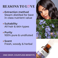 Just Herbs Rosemary Steam 100% Pure Distilled Essential Oil for Hair | Skin | Fights Acne | Elevates Mood Aromatherapy for Men and Women (10 ml)