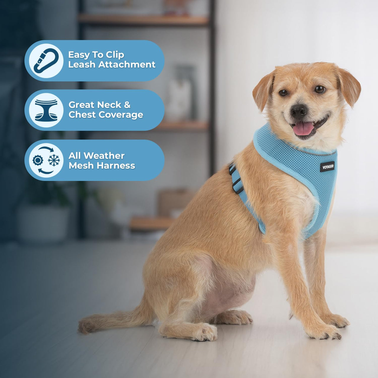 Aerolite No Pull Mesh Dog Harness with Lightweight, Soft, Breathable Chest Coverage, Reflective Stitching, and Adjustable Straps for Walking, Running, Training, Heavy Duty and Durable - Baby Blue, XL