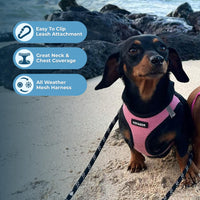 Voyager Step-in Air Dog Harness - All Weather Mesh Step in Vest Harness for Small and Medium Dogs and Cats by Best Pet Supplies - Harness (Pink/Black Trim), S (Chest: 14.5-16